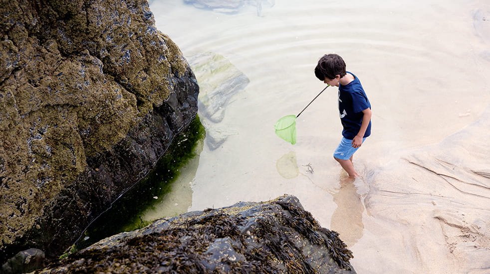 Haven holiday parks: rockpooling at Nature Rockz